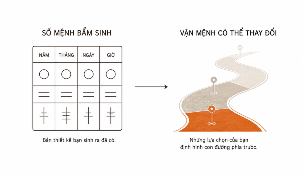 Mệnh tiên thiên và vận hậu thiên trong bát tự tứ trụ